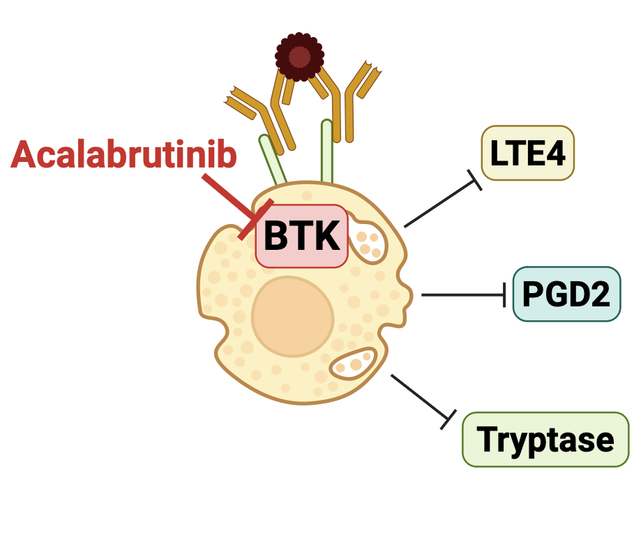 BTK inhibitor study